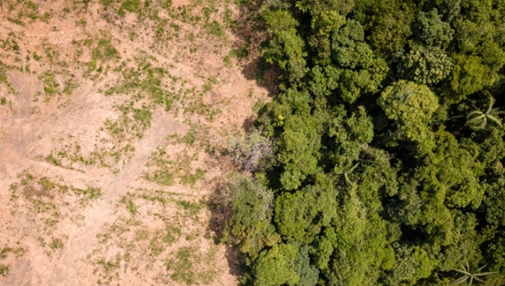 Around 3.6m hectares of tropical forest are estimated to have been cleared in 2018 – equivalent to the size of Belgium